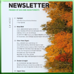 Friends of Asia and Asian Forests (FAAF) Newsletter 2024 #3